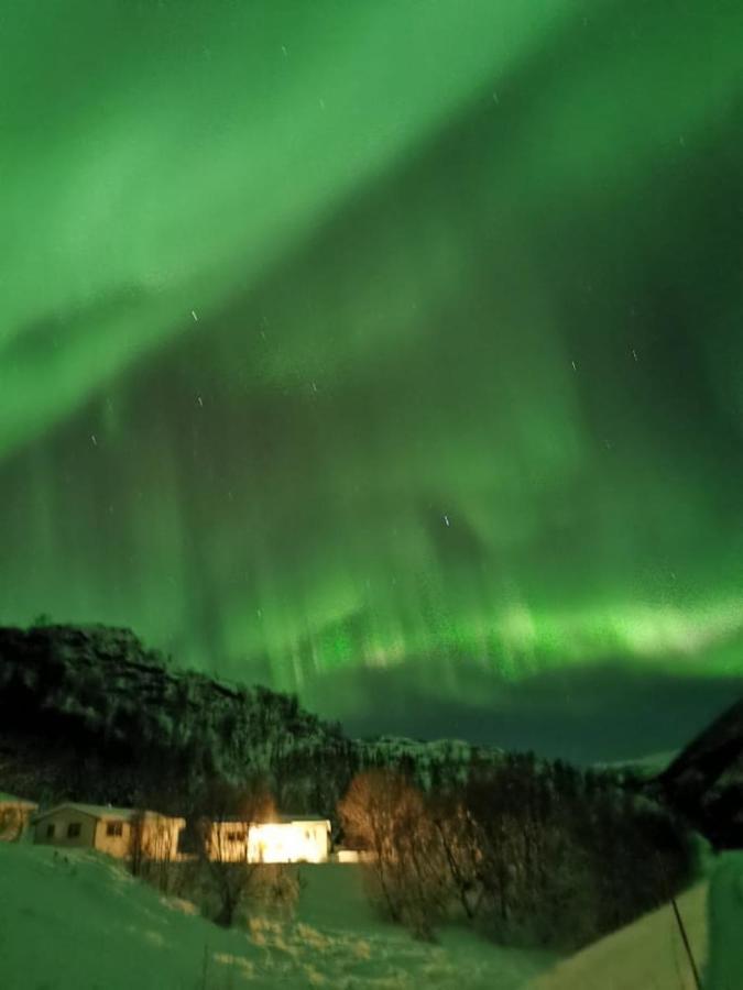 Skjellbogen Hyttegrend ซอร์ทลันด์ ภายนอก รูปภาพ